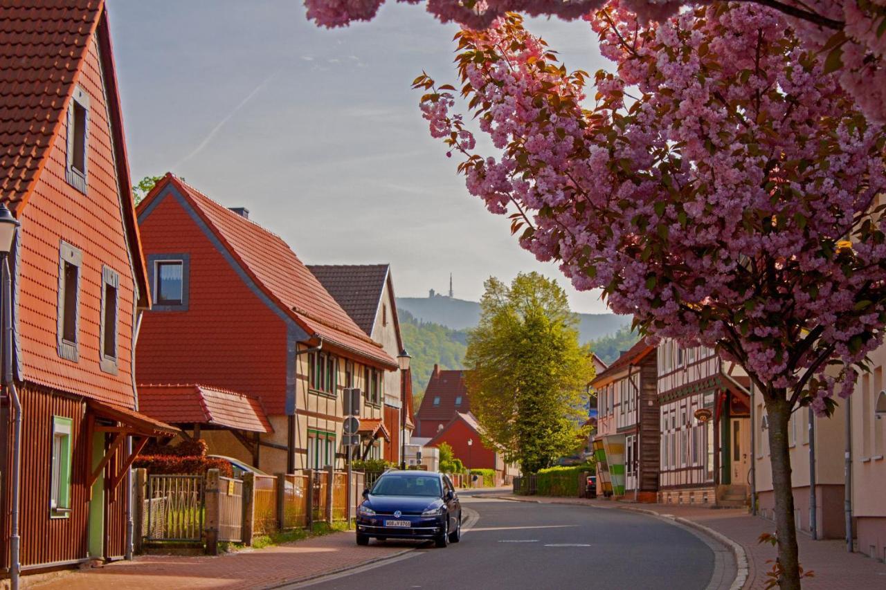 Haus Ilsegarten Ilsenburg Kültér fotó